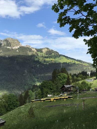 Wengerenalpbahn