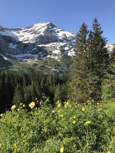 Les Diablerets VD