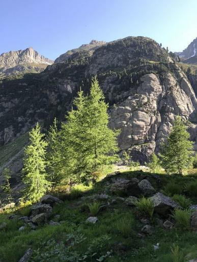 Frühsommer im Tal