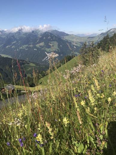 Bergsommer
