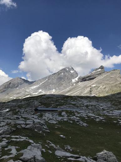 Rinderhorn