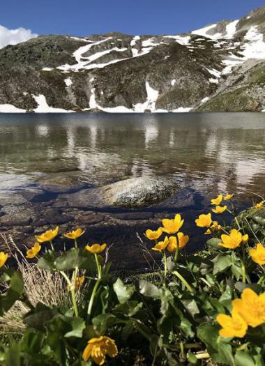 Rundsee