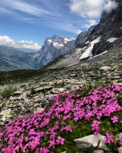 Wetterhorn