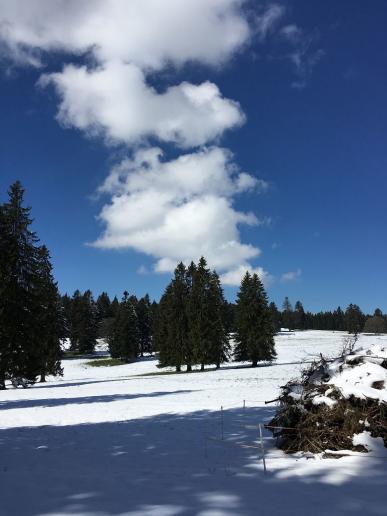Berner Jura