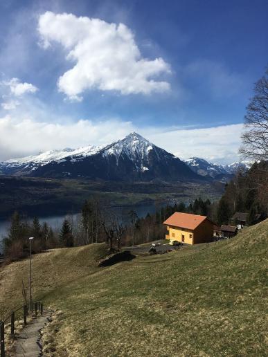 Niesen