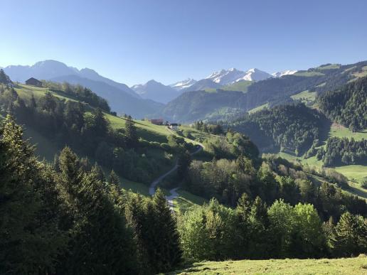 Pays d'en Haut