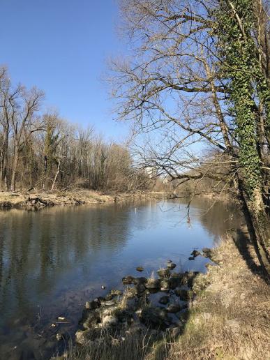 Aare