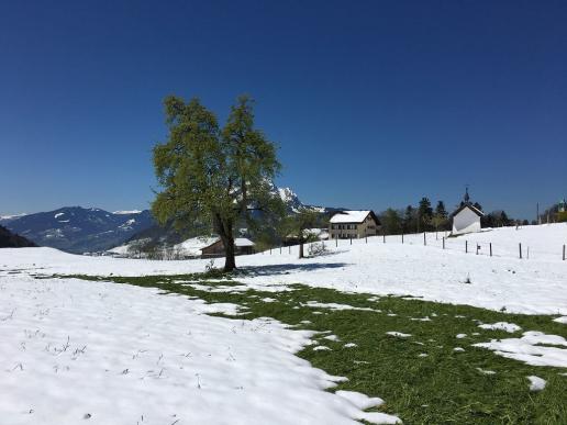 Trogenalp