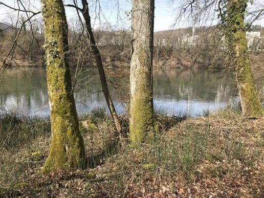 Aare