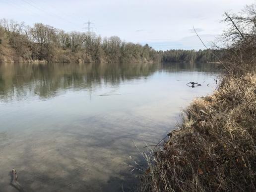 Aare
