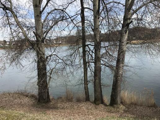 Aare