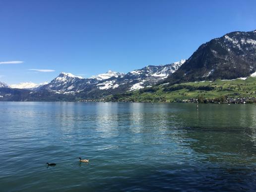 Vierwaldstättersee bei Ennetbürgen