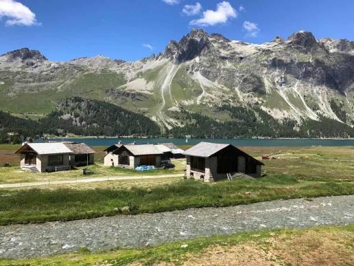 Isola