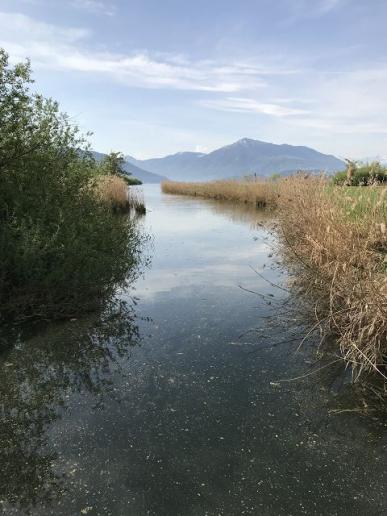 Kanal