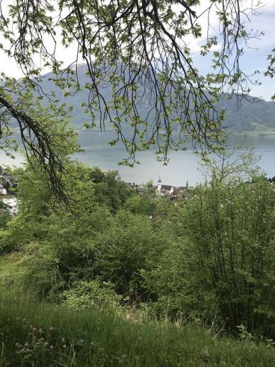 Blick auf Walchwil