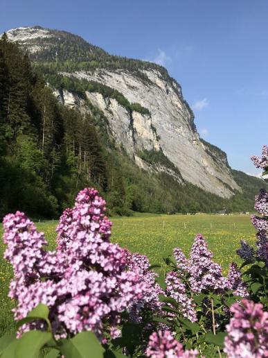 Frühling im Haslital