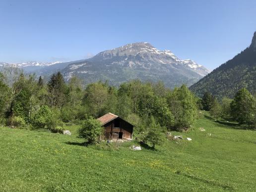 Haslital