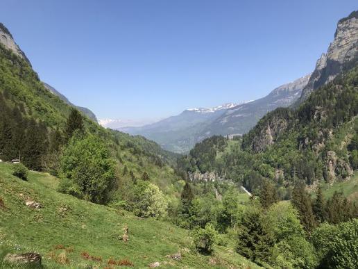Blick ins Haslital