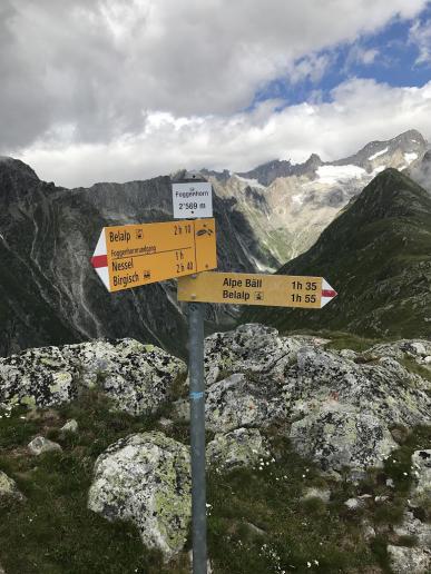 Auf dem Foggenhorn