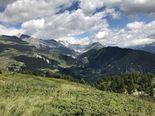 Blick zum Aletsch