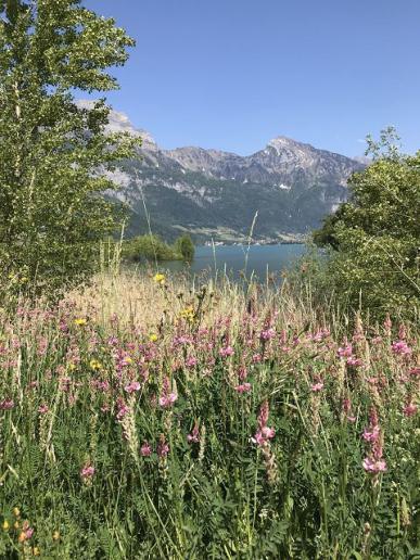 Walensee