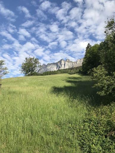 Unter den Churfirsten