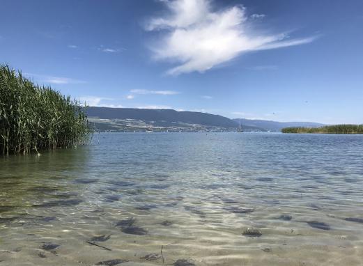 Neuenburgersee