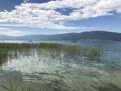 Neuenburgersee