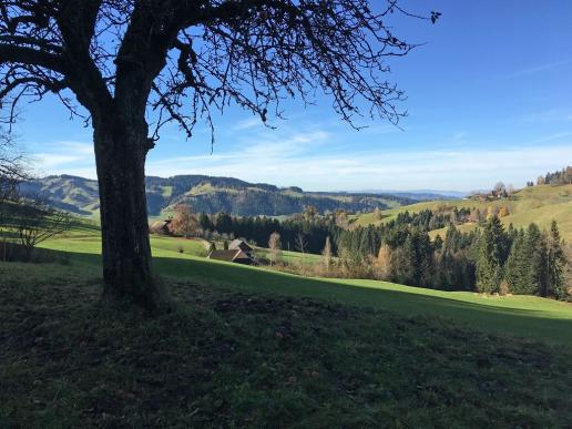 Emmental