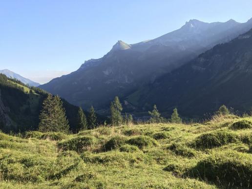 Sommermorgen