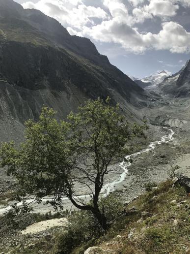 Glacier de Zinal