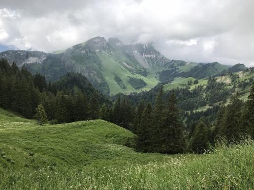Grünes Land