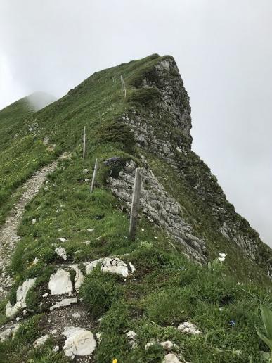 Bald am Ziel