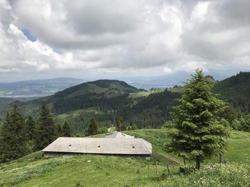 Greyerzer Alp