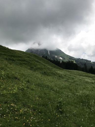 Wo ist der Moléson?