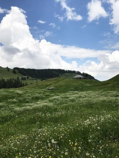 Greyerzerland
