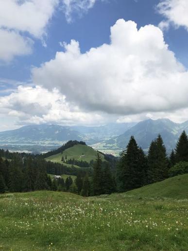 Aufhellungen