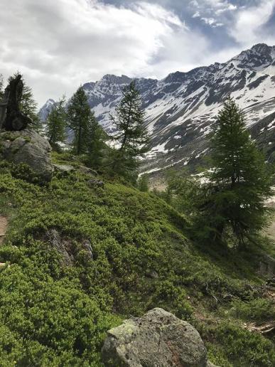 Lötschental