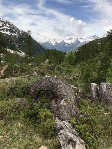Magisches Tal