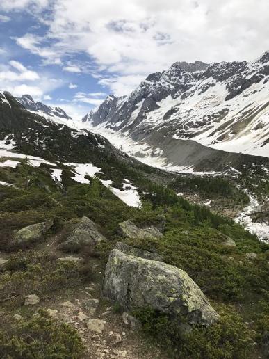 Langgletscher