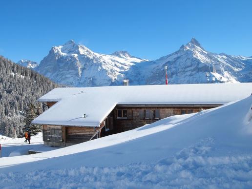Bussalp