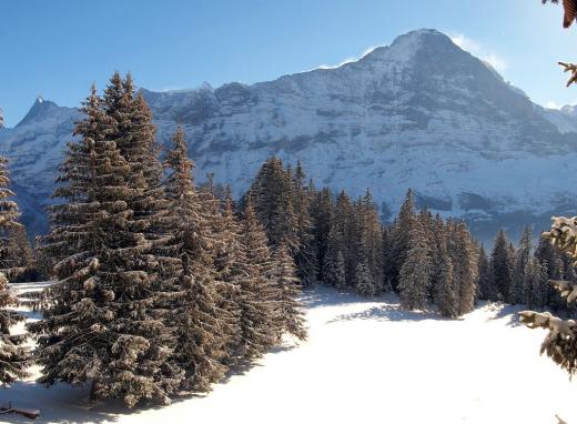 Eiger im Winter