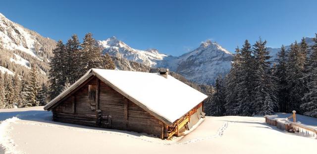 Verschneite Alp