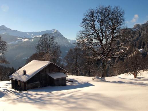 Alpidylle im Winter