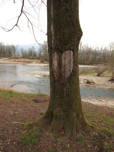 Herzlicher Baum