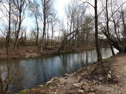 Aare