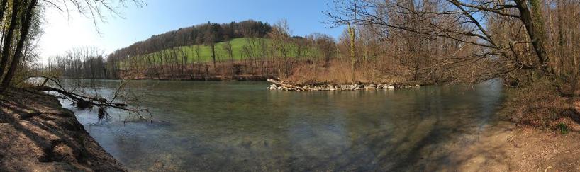 Idyll an der Aare
