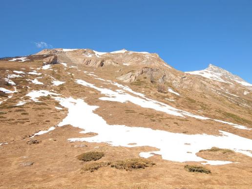Blick zum Wiwannihorn