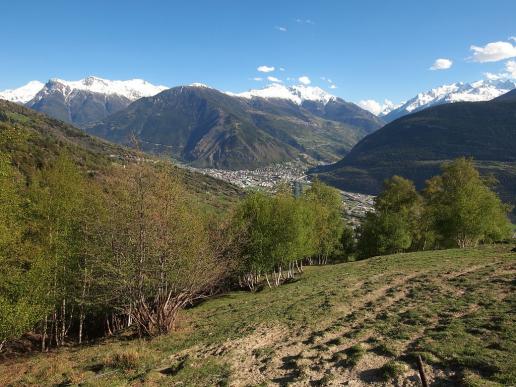 Blick auf Visp