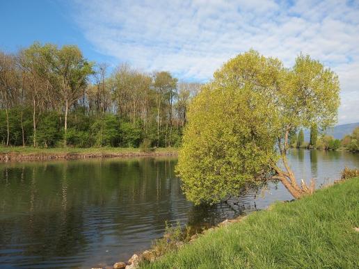 Frühling an der Broye